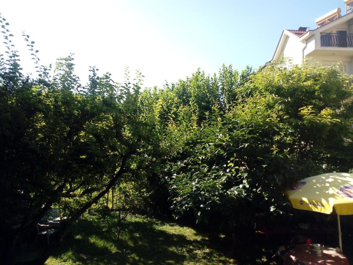 Vila Dudan Охрид Экстерьер фото